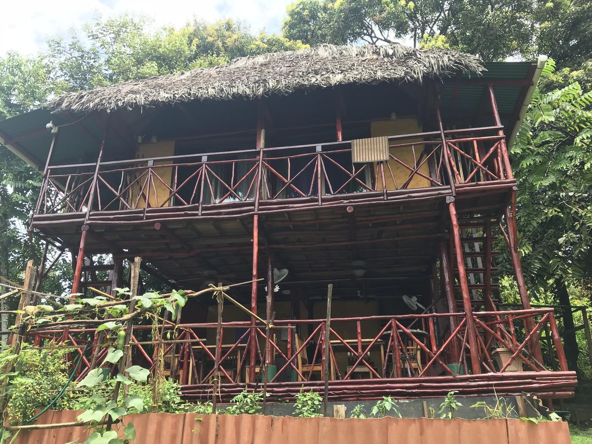 Free Spirit Oasis Hotel Bocas Town Exterior foto